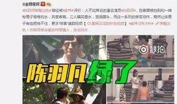 晚星事件爆料视频大全下载,视频大全下载背后的惊人真相