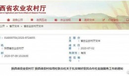 陕西爆料最新消息新闻,聚焦重大新闻事件追踪